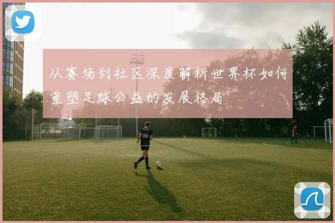 从赛场到社区深度解析世界杯如何重塑足球公益的发展格局