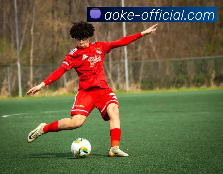 澳客官方网(OKOOO)官方授权信息中心发展历程